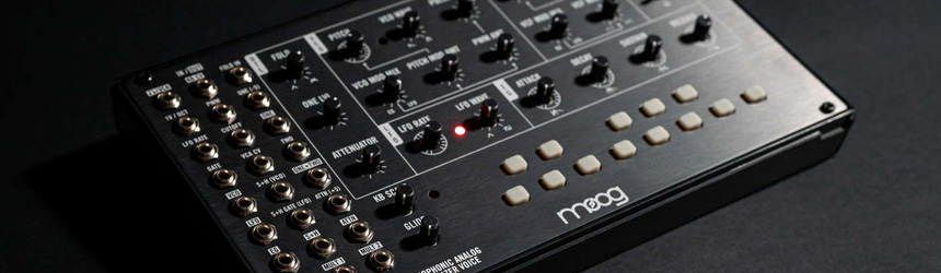 Moog Mavis Legendary Synth Sound